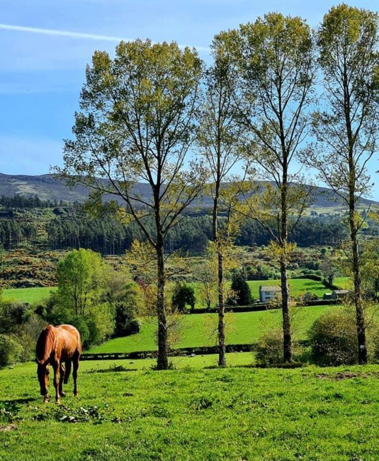 Greenvale Cabins Forkhill Dış mekan fotoğraf