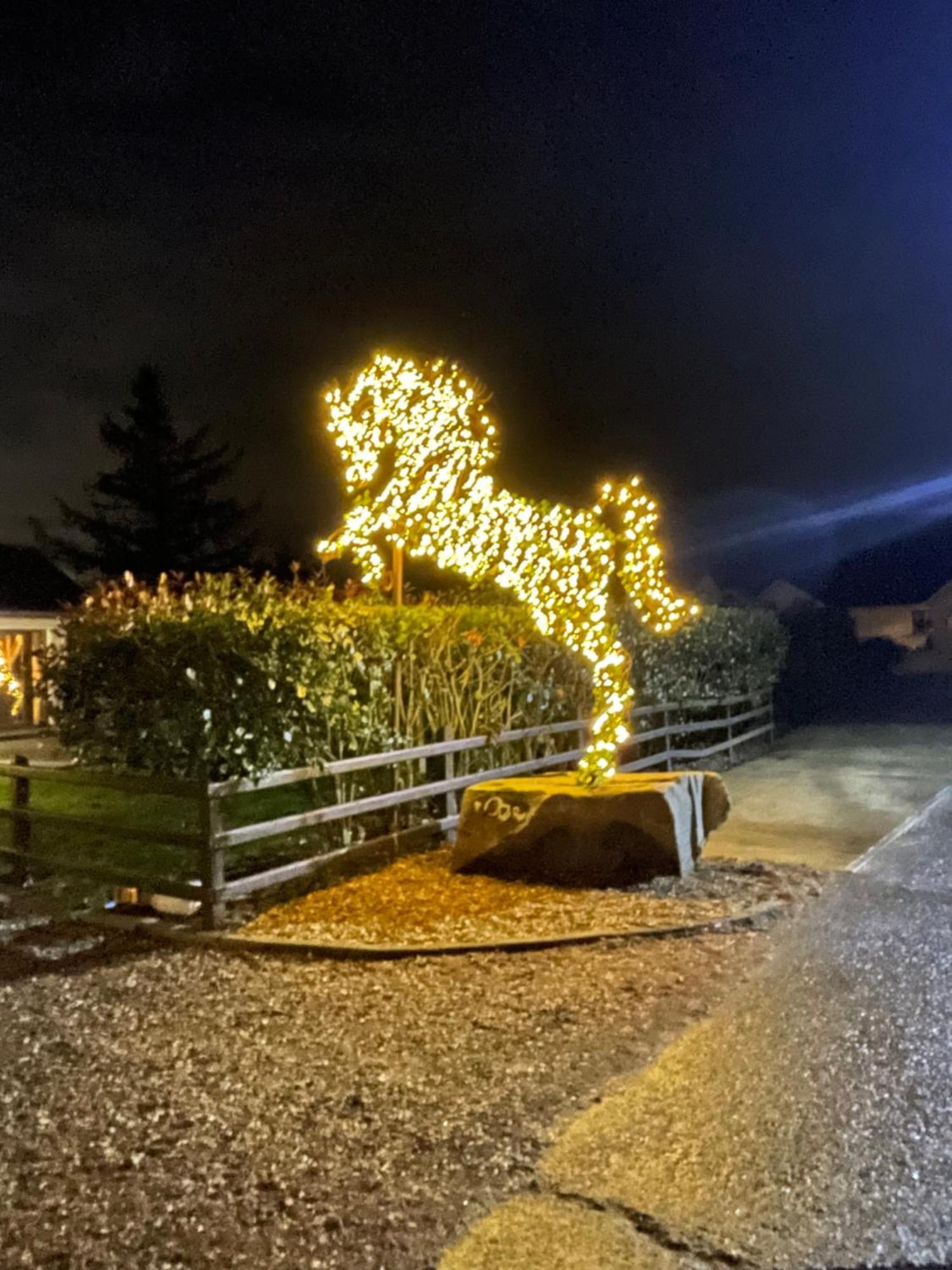 Greenvale Cabins Forkhill Dış mekan fotoğraf